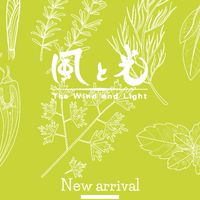 風と光  (organic&vegan MICHIYA) ご案内