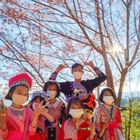 น้องนนท์ ร่องกล้า