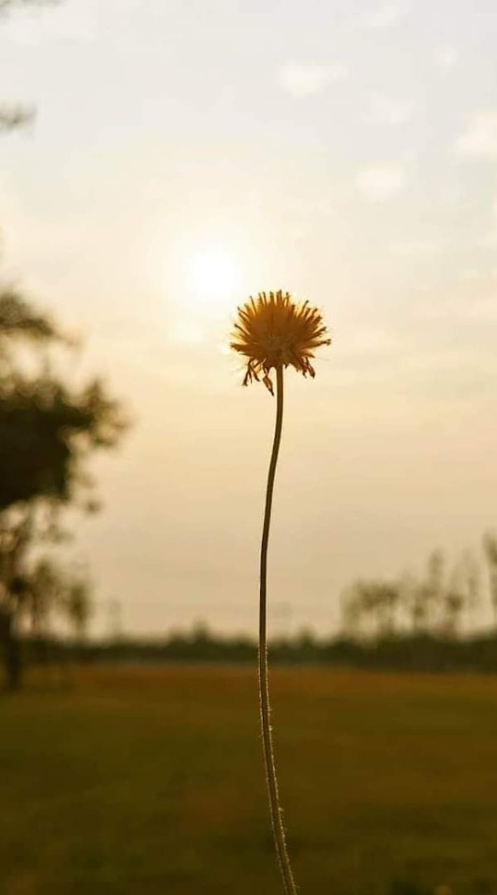 🏩ชาวตึก 18&19🏩