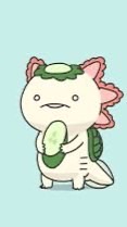 あほの集まり(1部例外あり)