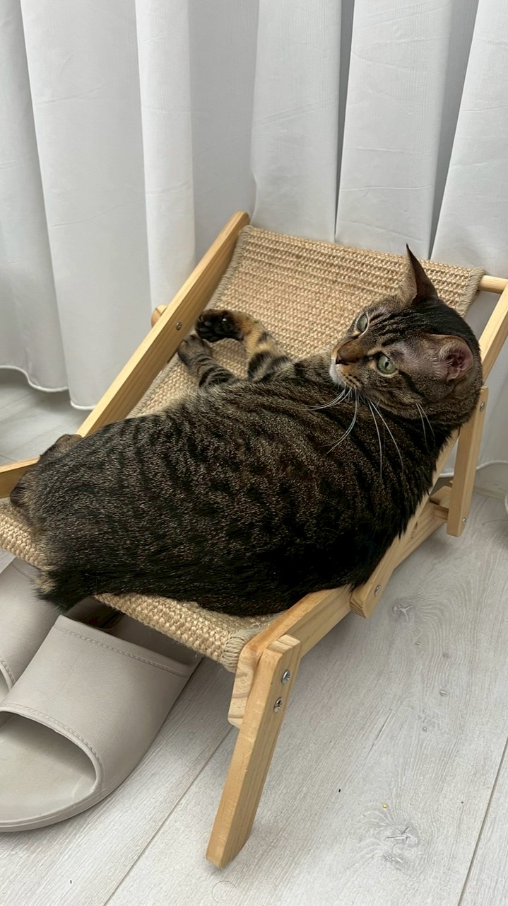 爸寶們