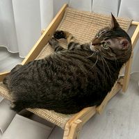 爸寶們