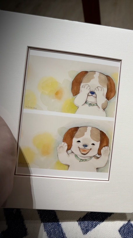 Maltipoo🐶馬爾泰迪貴賓犬🐩南台灣