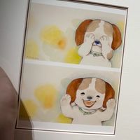 Maltipoo🐶馬爾泰迪貴賓犬🐩南台灣