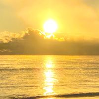 🍀We are the 宮城🍀〜大人の癒され空間〜
