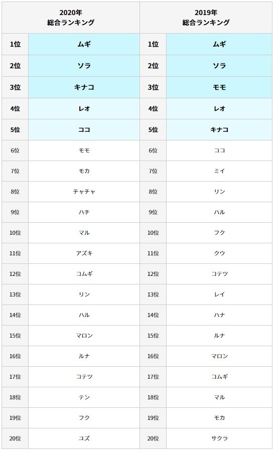 21年に流行りそうな猫の名前は 名前ランキングtop