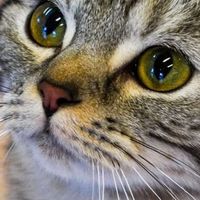 みんなの🌏全国雑談ユニバース　またの名を第2のカドプロ｜誰でも歓迎💬だぜっ‼︎
