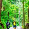 高尾山6号路