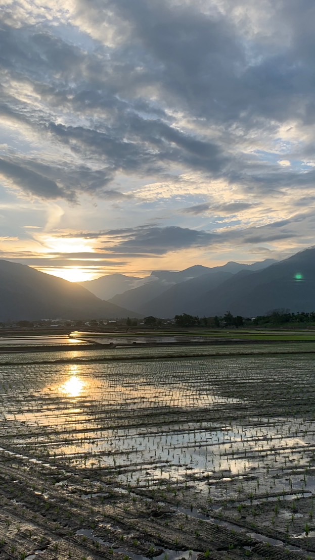 小蓮花親子成長基地