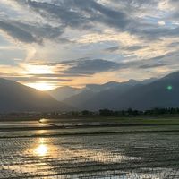 小蓮花親子成長基地