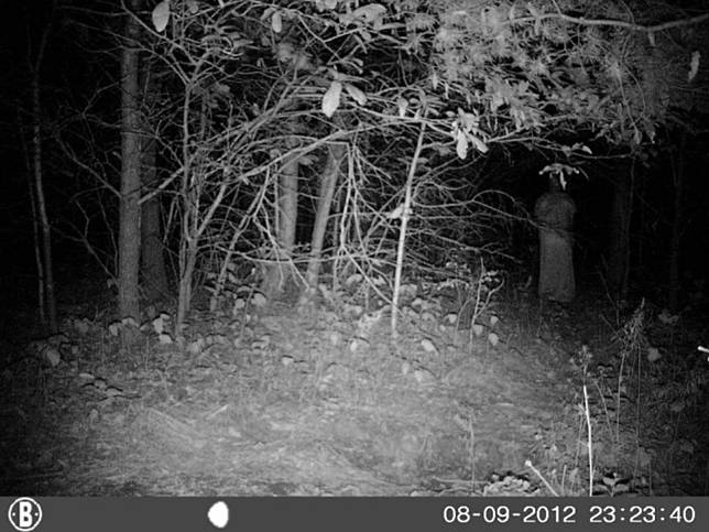 13 Hal Paling Menakutkan yang Pernah Tertangkap Kamera Pengintai