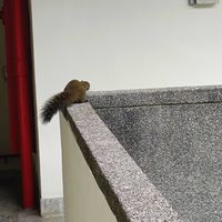 清大女宿外送湊單免運好地方