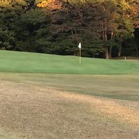 ゴルフ好き新潟