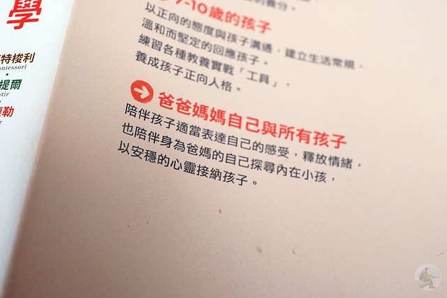 安定教養學