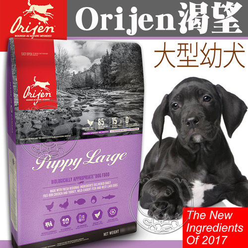 【培菓平價寵物網】 (送台彩刮刮卡7張)Orijen 渴望》鮮雞大型幼犬-6kg