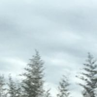 鬼鬼群組