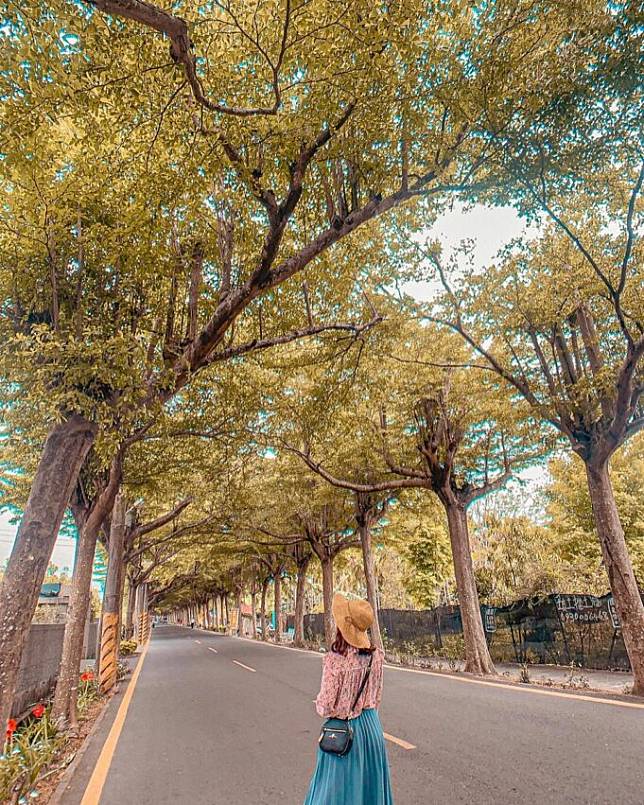 圖片授權：IG @hsuan_1228_