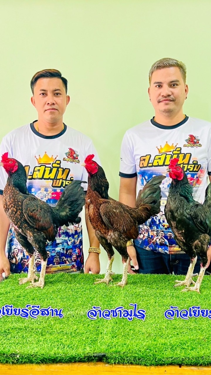 Fcส.สนั่นฟาร์ม กลุ่ม2