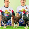 Fcส.สนั่นฟาร์ม กลุ่ม2