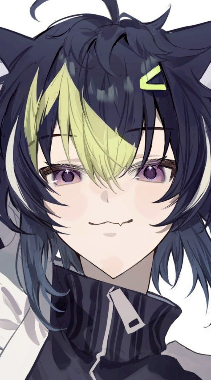 めちゃつえわちゃわちゃどころ