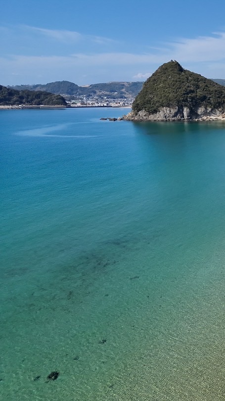 海＋KID's 調査隊