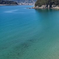 海＋KID's 調査隊