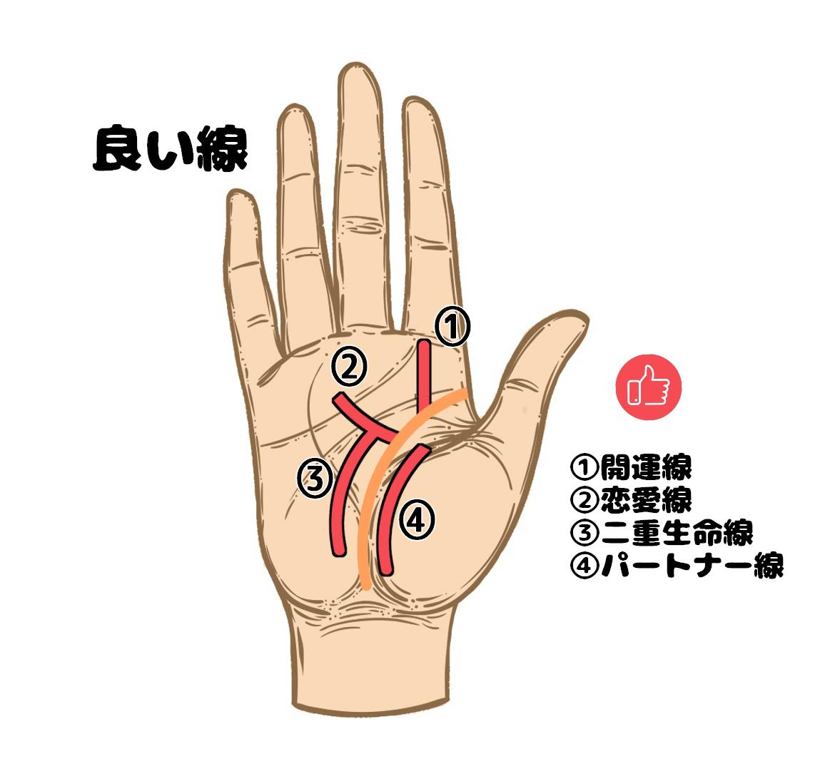 手相占い 生命線とは 基本の数え方と要注意なサイン Charmmy