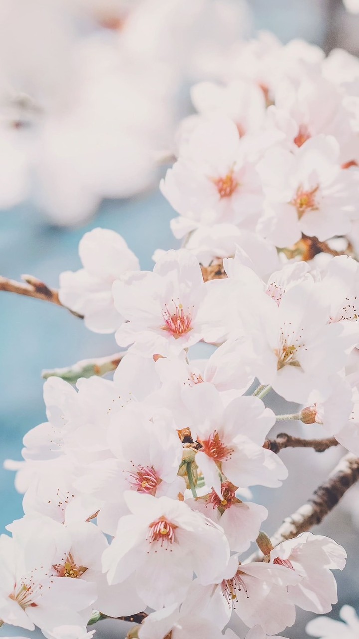 愛教混 新歓2023🌷