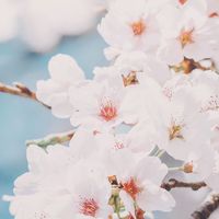 愛教混 新歓2023🌷