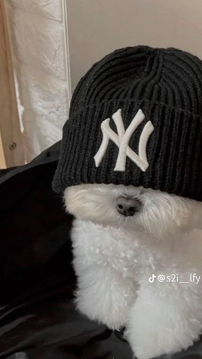 BeRealやってる人カモン🫪