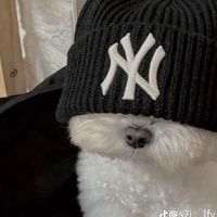 BeRealやってる人カモン🫪