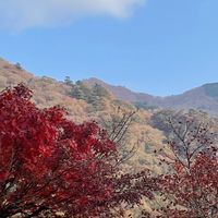 愉快な仲間たち〜みんな大好き