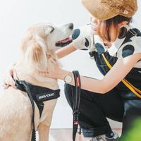 寵物專車大廳
