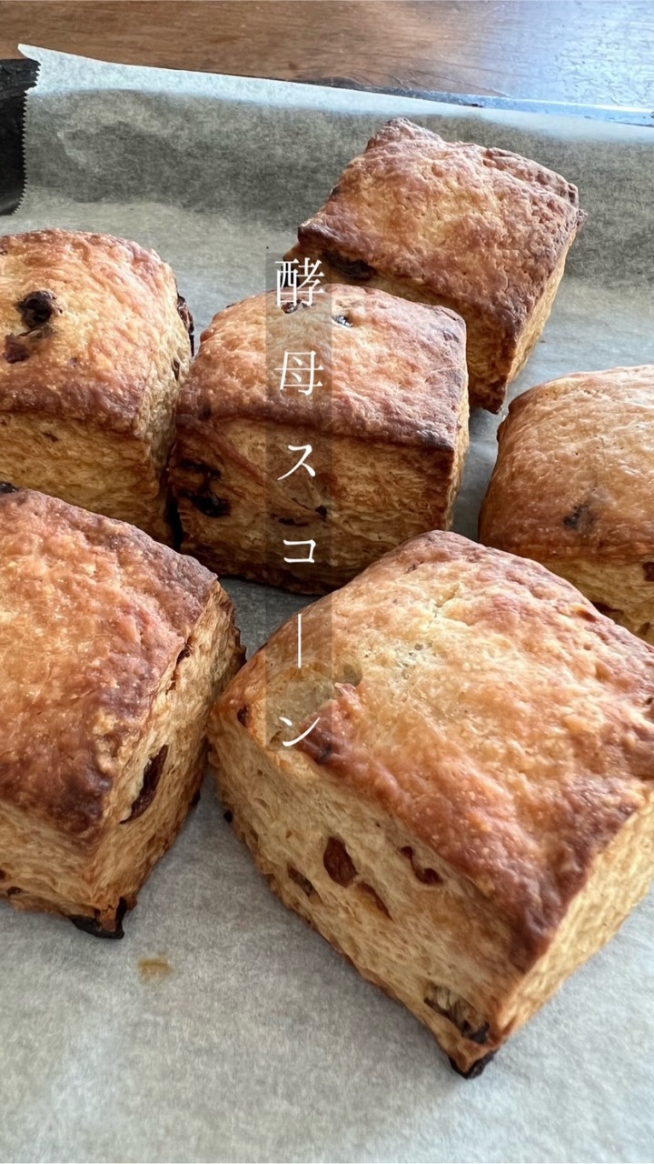 mano bakeお菓子情報🍩