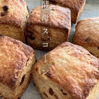 mano bakeお菓子情報🍩