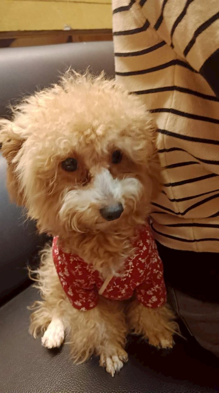 🎊🍾️宏昇同學會