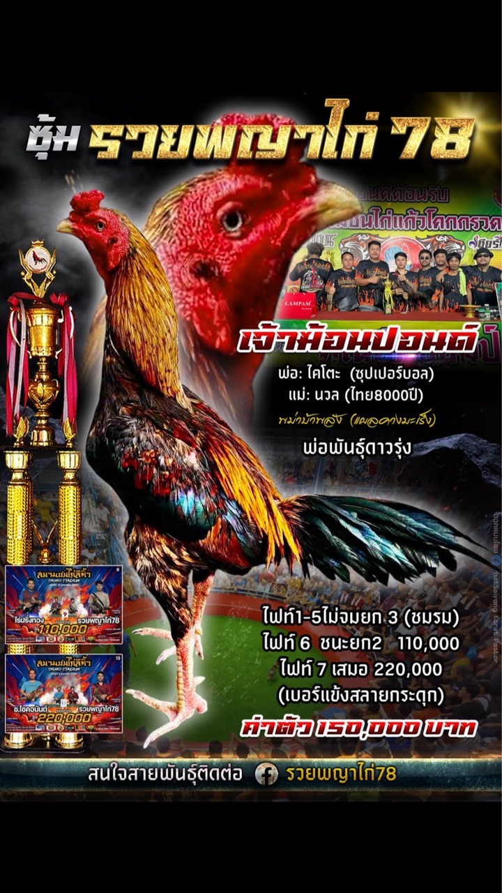 ซุ้มรวยพญาไก่78