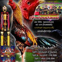 ซุ้มรวยพญาไก่78