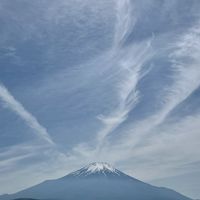 P・O・ｄ🌟開花