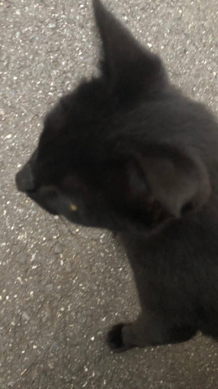 雑談のオープンチャット