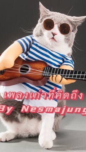 เพลงเก่าที่คิดถึง | By Nesmajung & Meaw Meaw Band