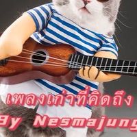 เพลงเก่าที่คิดถึง | By Nesmajung & Meaw Meaw Band
