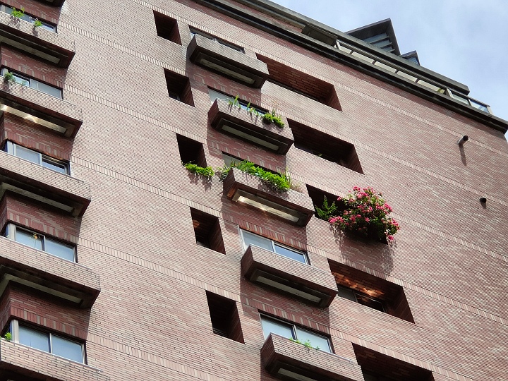 望遠鏡頭拍攝（5x）