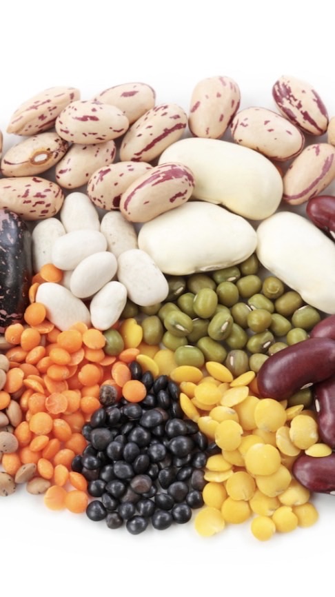 豆大好き人間共の集い