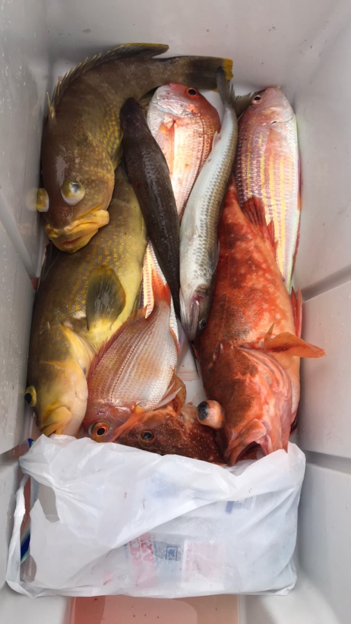 ゴムボート釣り🎣