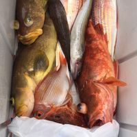 ゴムボート釣り🎣
