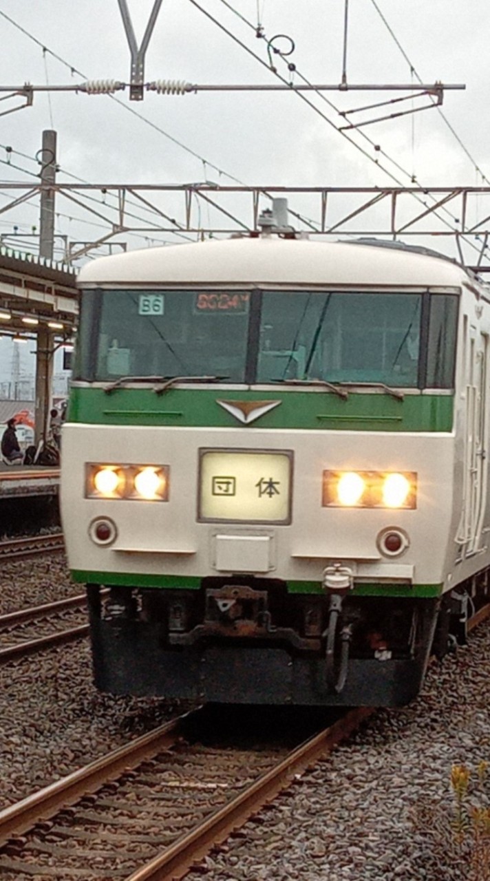 185系好きあつまれ！