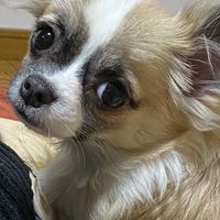 中国輸入販売塾