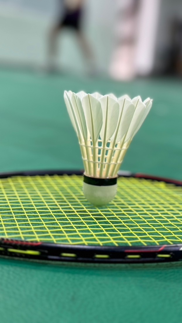 羽工坊羽球隊🏸