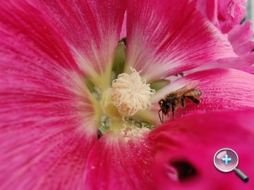 IMG20200319124553.jpg IMG20200319124553.jpg